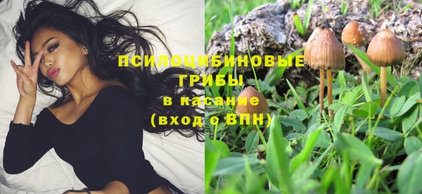 амф Алексеевка