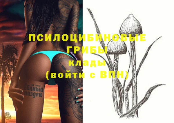 крисы Алзамай