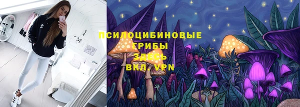 крисы Алзамай