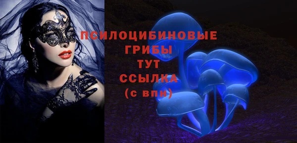 spice Аркадак
