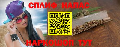 стафф Дубна