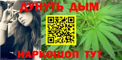 стафф Дубна