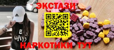 стафф Дубна