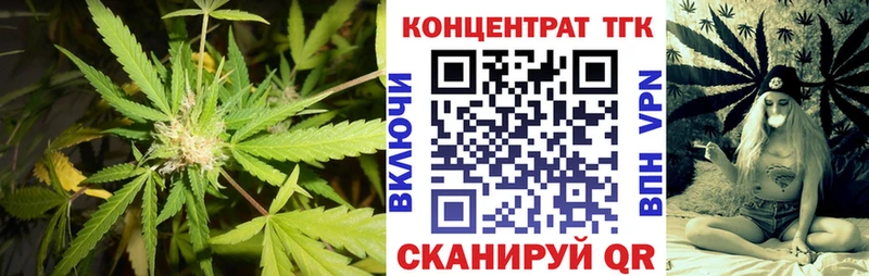 как найти   Новодвинск  ТГК гашишное масло 